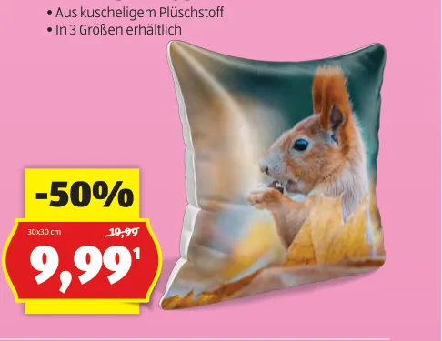 Premium Kissen