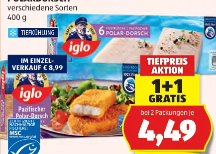 Polardorsch